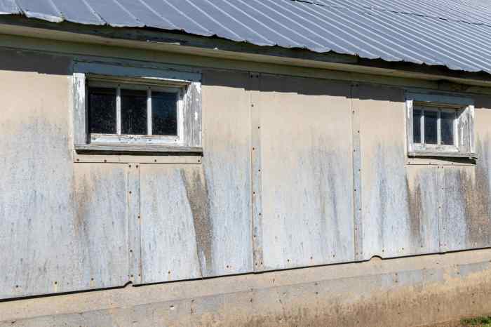 What Does Asbestos Siding Look Like? - Charleston Home Inspection