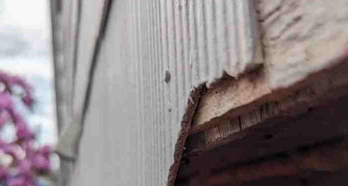 Asbestos Siding Replacement Costs and Considerations | Fixr